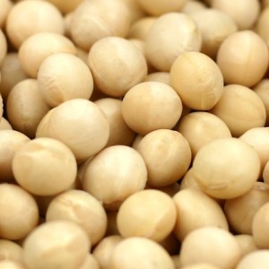 6ed686fe375dc3c76b18b90d44eca4a1_s