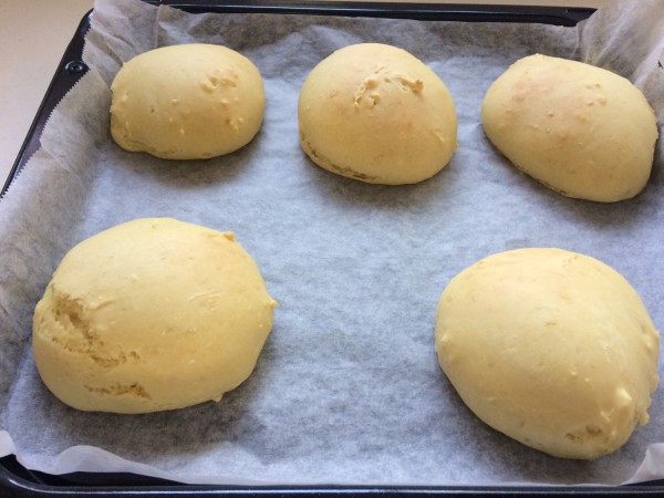 天板に並べた焼き上がったパン（正面から）の写真