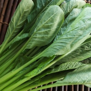 9f5d01734e35576056511d25f91bb50d_s