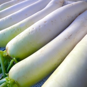 209842ed036e72a7b1a87819efc0b2dc_s