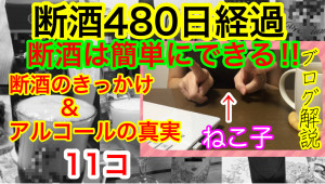 ねこ子ＴＶ　　　　断酒を始めた　　　きっかけ　　④