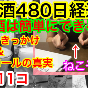 ねこ子ＴＶ　　　　断酒を始めた　　　きっかけ　　④